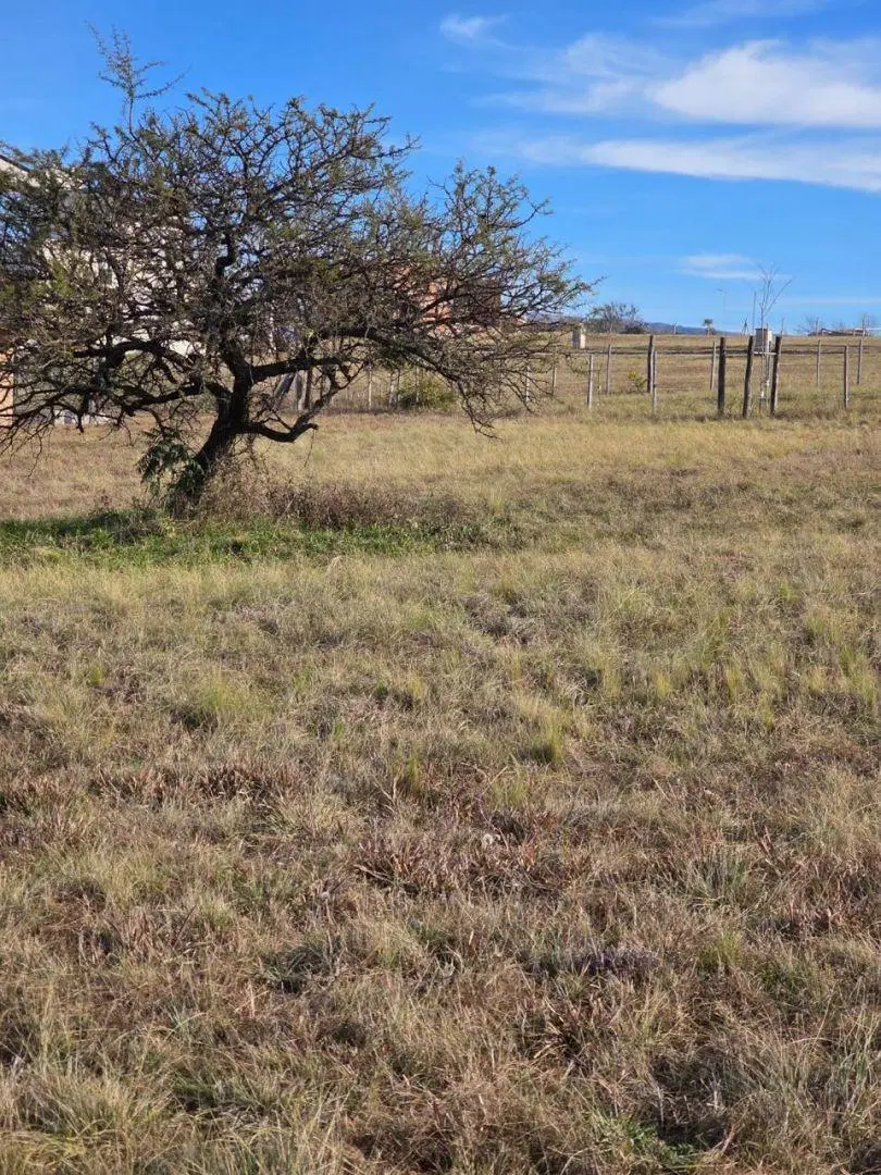 Lote Venta Los Reartes Altos De Los Reartes 500 Mts Vista Sierras Chicas Grandes 3