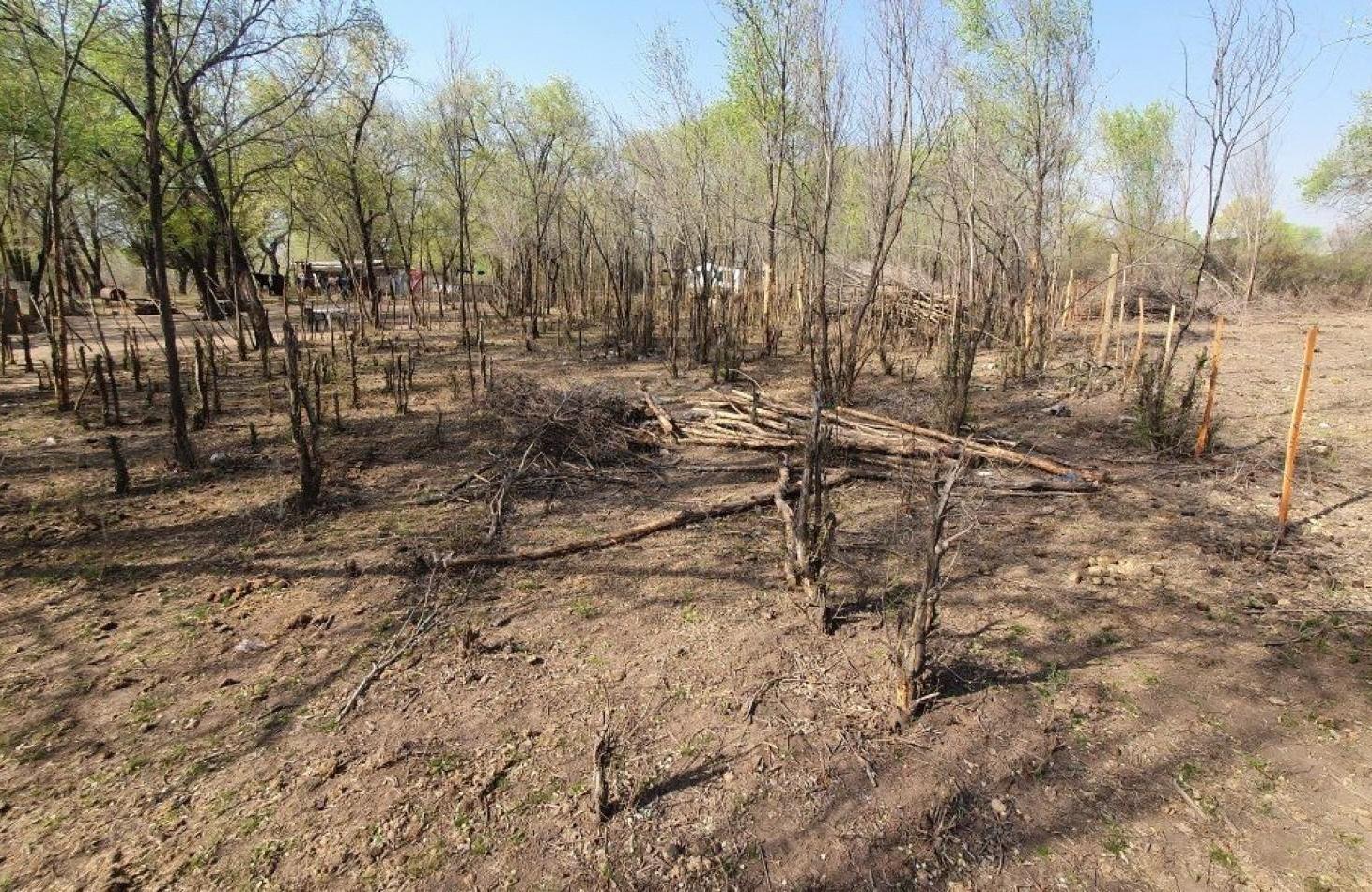 Foto de Lote Venta Santa Rosa De Calamuchita 760 M² B° Villa Strada 4 Cuadras, imagen 1