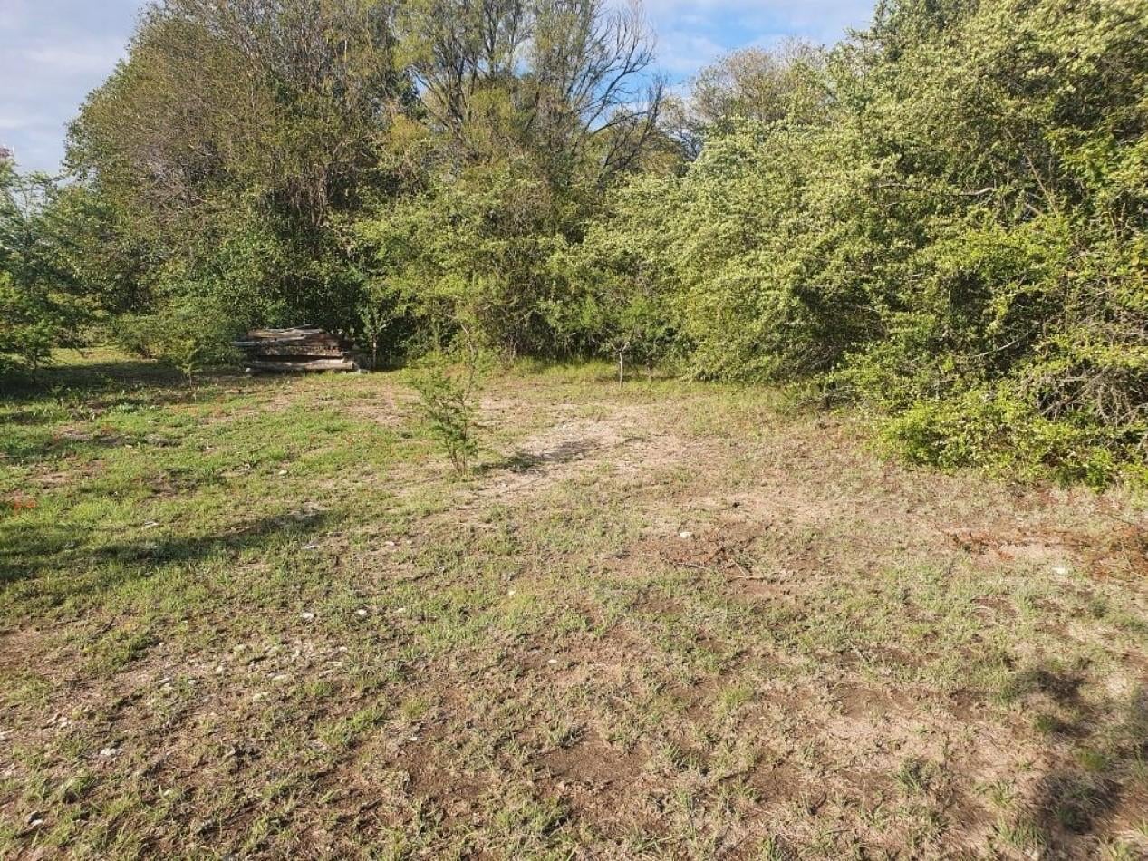 Foto de 2 Lotes Amplios Venta Villa General Belgrano 2500 M² cada uno, imagen 4