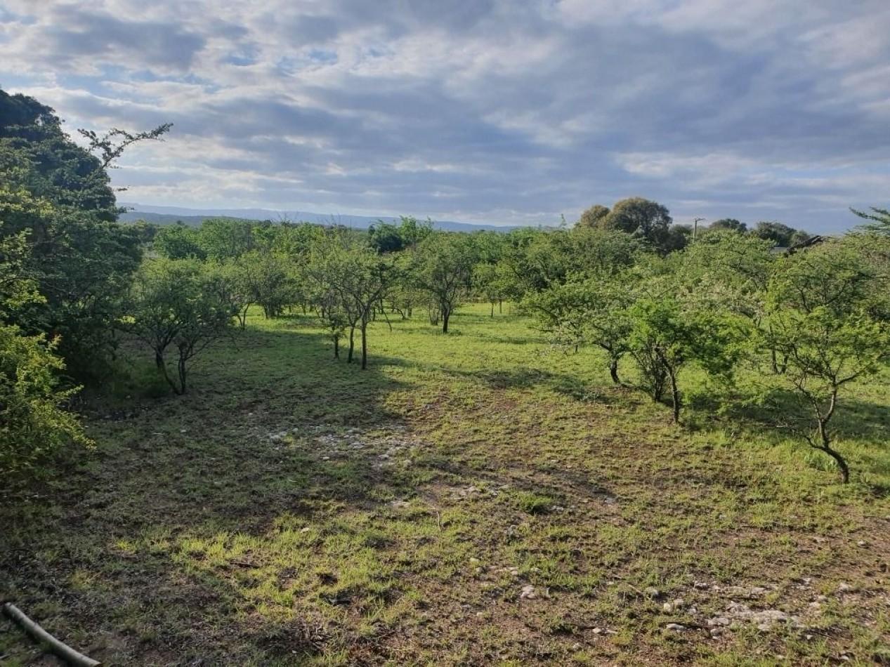 Foto de 2 Lotes Amplios Venta Villa General Belgrano 2500 M² cada uno, imagen 5