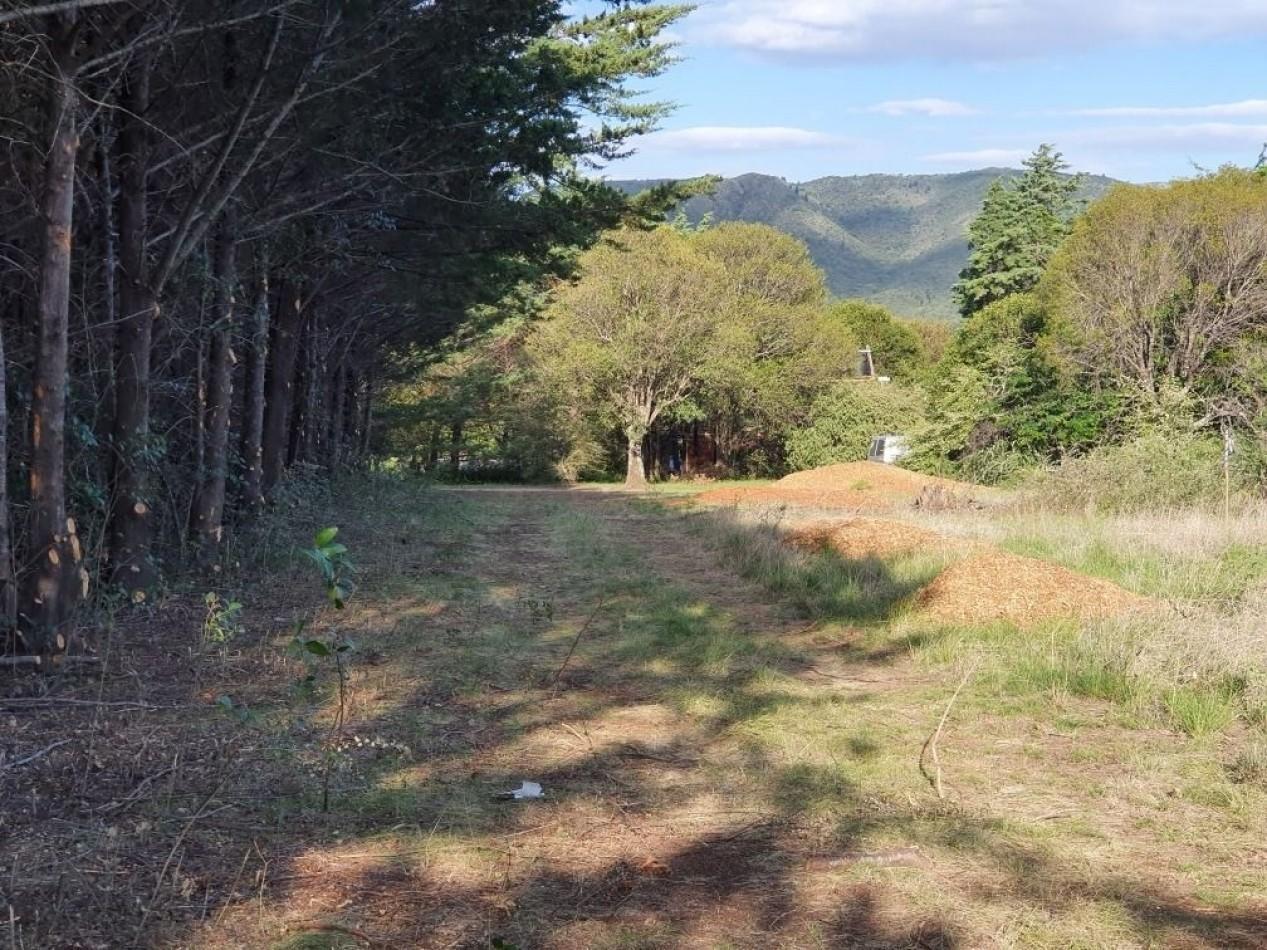 Foto de 2 Lotes Amplios Venta Villa General Belgrano 2500 M² cada uno, imagen 1