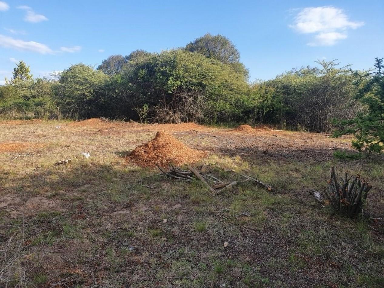 Foto de 2 Lotes Amplios Venta Villa General Belgrano 2500 M² cada uno, imagen 3