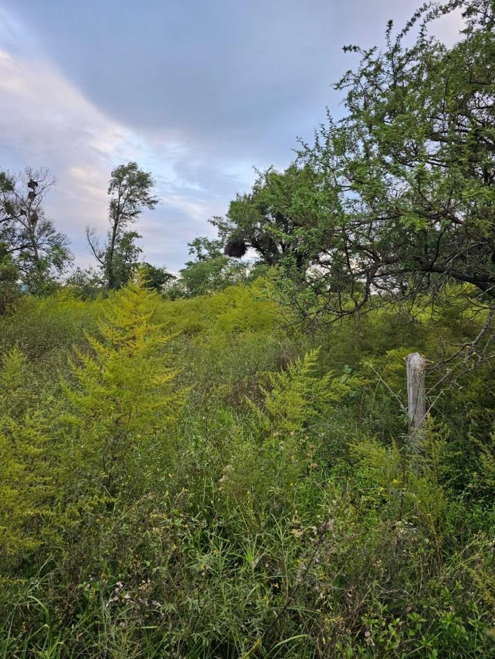 Foto de Lote Venta San Ignacio Calamuchita Loteo Velez Crespo Exclusivo A 200, imagen 4