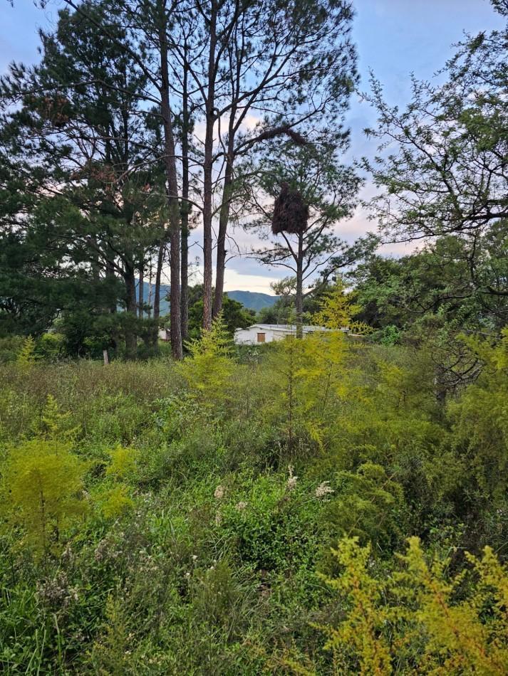 Foto de Lote Venta San Ignacio Calamuchita Loteo Velez Crespo Exclusivo A 200, imagen 2