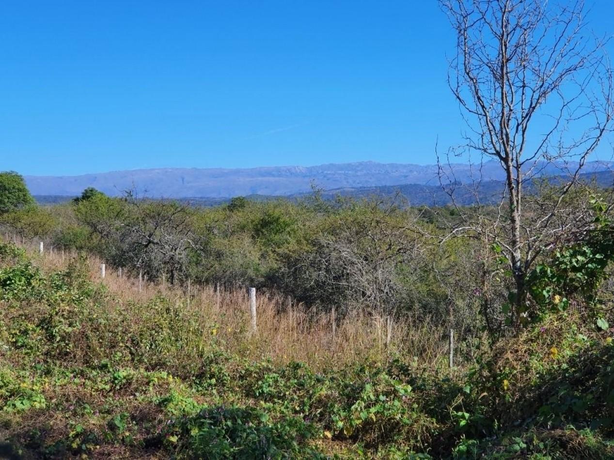 Foto de Campo en Venta Apto para desarrollo de Loteo. Oportunidad de Inversion., imagen 2