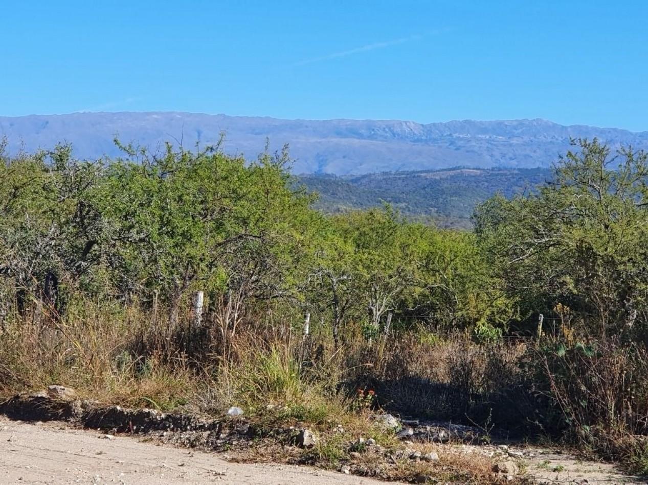 Foto de Campo en Venta Apto para desarrollo de Loteo. Oportunidad de Inversion., imagen 4