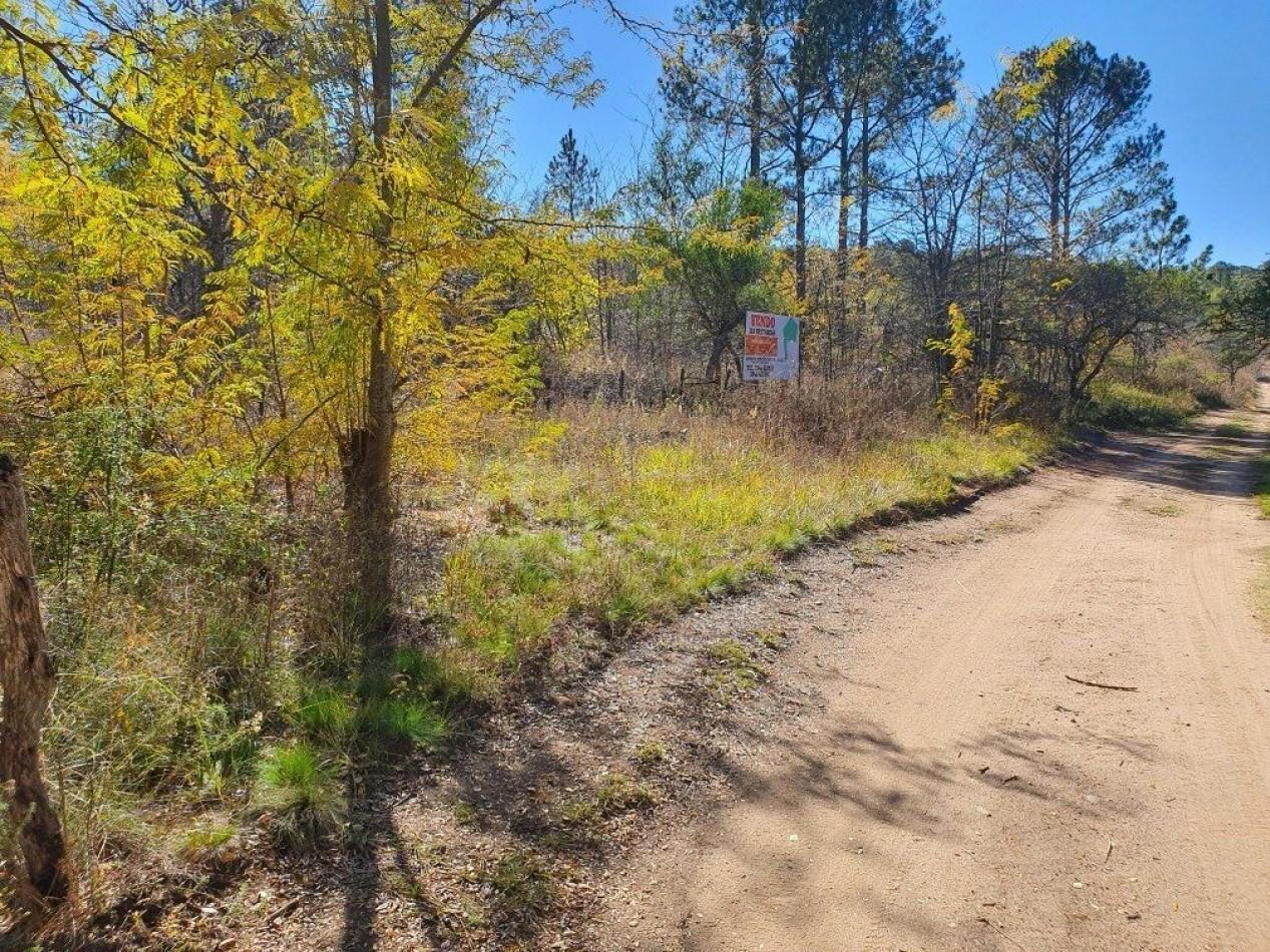 Foto de Campo en Venta Apto para desarrollo de Loteo. Oportunidad de Inversion., imagen 5