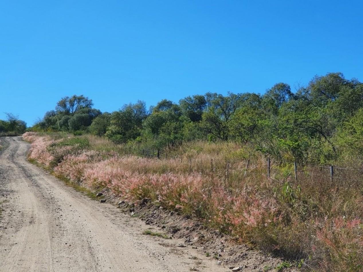 Foto de Campo en Venta Apto para desarrollo de Loteo. Oportunidad de Inversion., imagen 3