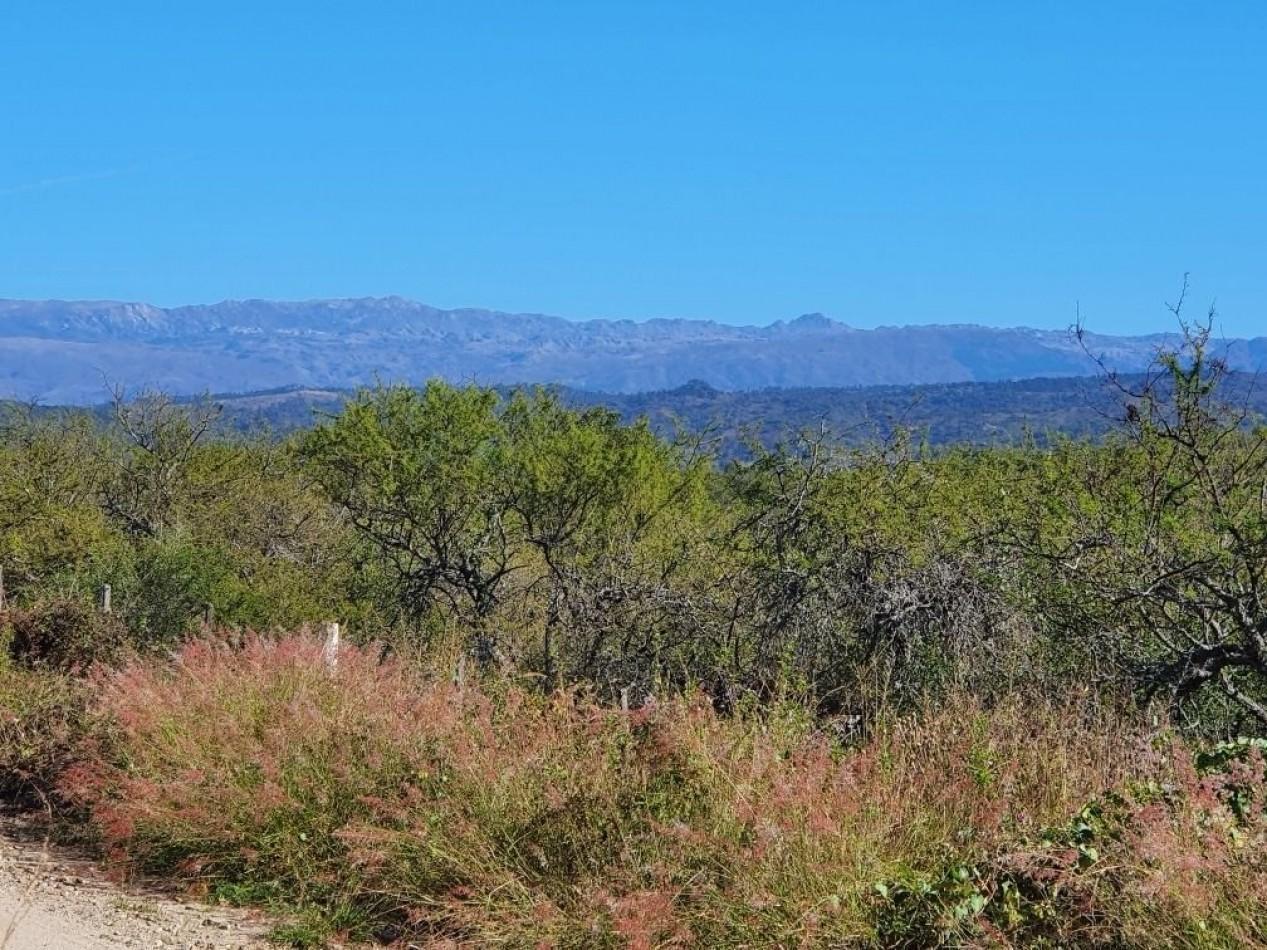 Foto de Campo en Venta Apto para desarrollo de Loteo. Oportunidad de Inversion., imagen 1