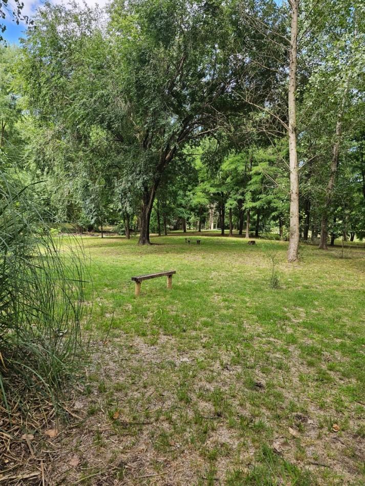 Foto de Lote Venta 1.000 m² Los Reartes A 50 metros del Rio Ubicacion, imagen 4