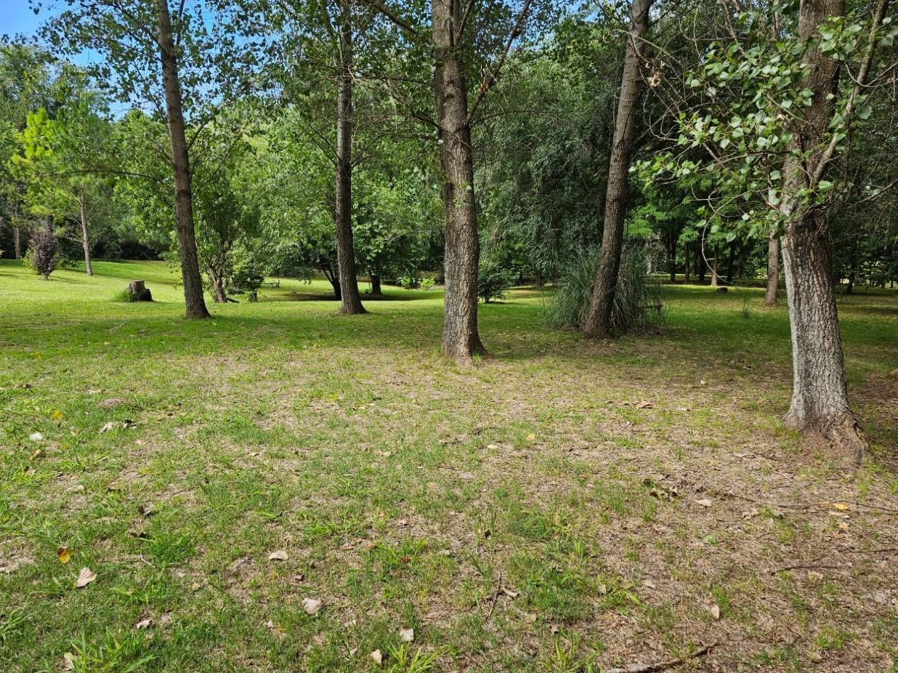 Foto de Lote Venta 1.000 m² Los Reartes A 50 metros del Rio Ubicacion, imagen 5