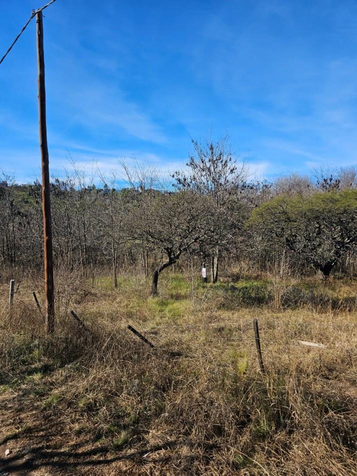 Foto de 3 Lotes Juntos Contiguos Venta Santa Rosa de Calamuchita La Olla La, imagen 3