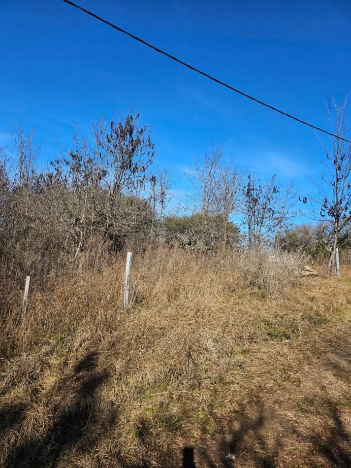 Foto de 3 Lotes Juntos Contiguos Venta Santa Rosa de Calamuchita La Olla La, imagen 4