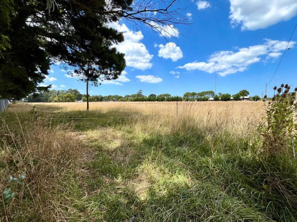 1,5 Ha EN VENTA EN SANTA CLARA A METROS DE RUTA 11 4