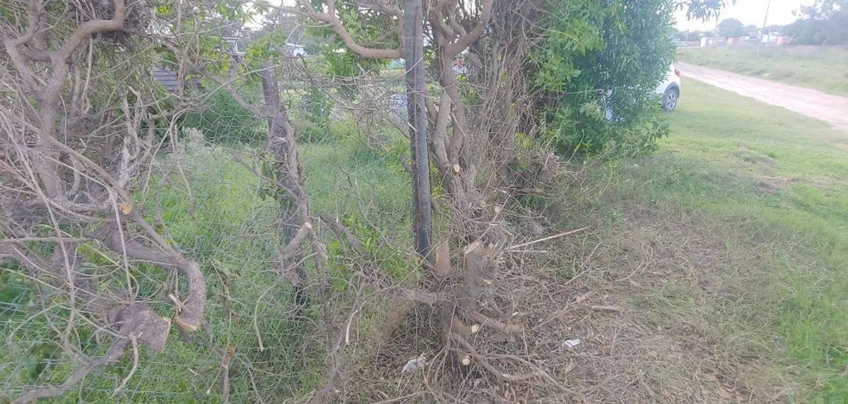 venta lote zona vivero Miramar 3