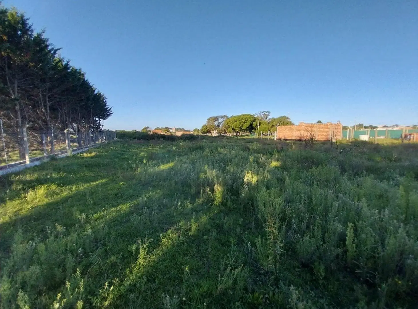 Lote Playa San Carlos 5