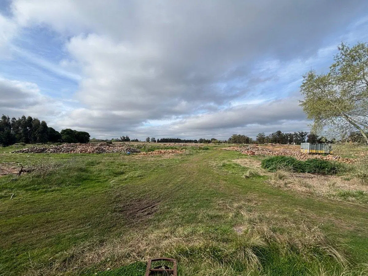 TERRENO EN VENTA 19.367M2 EN ZONA PARQUE, NECOCHEA 5