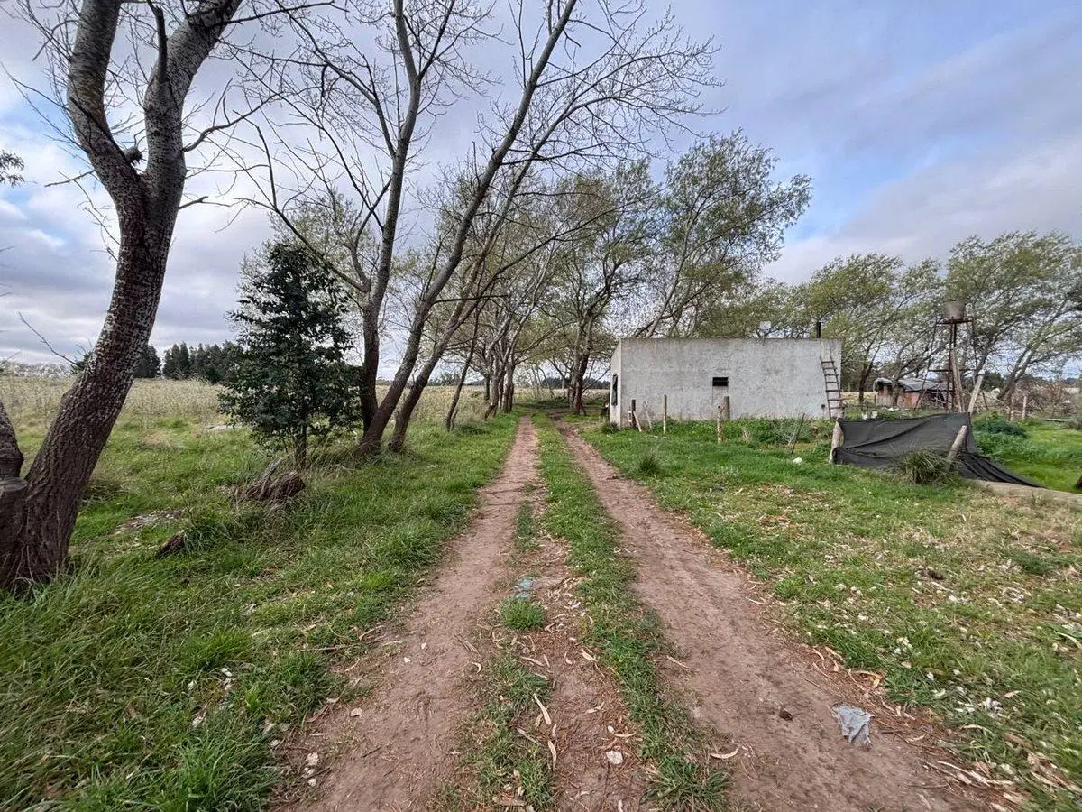 TERRENO EN VENTA DE 2275M2 ZONA PARQUE, NECOCHEA 3