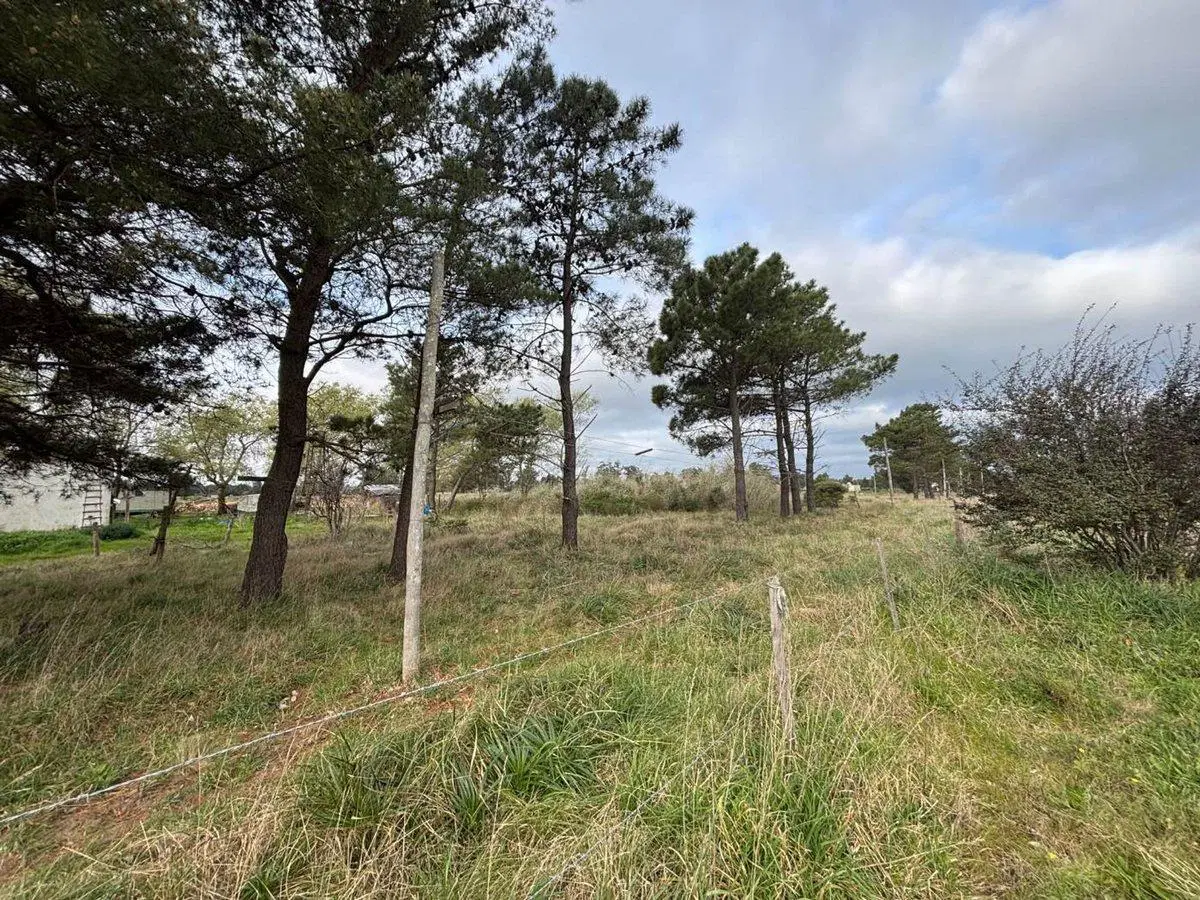 TERRENO EN VENTA DE 2275M2 ZONA PARQUE, NECOCHEA 5