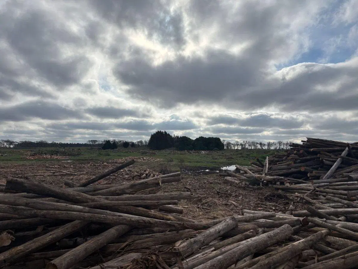 TERRENO EN VENTA DE 2625M2 ZONA PARQUE, NECOCHEA 2