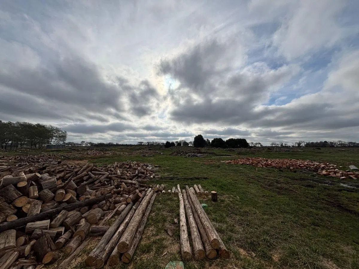 TERRENO EN VENTA DE 2625M2 ZONA PARQUE, NECOCHEA 3