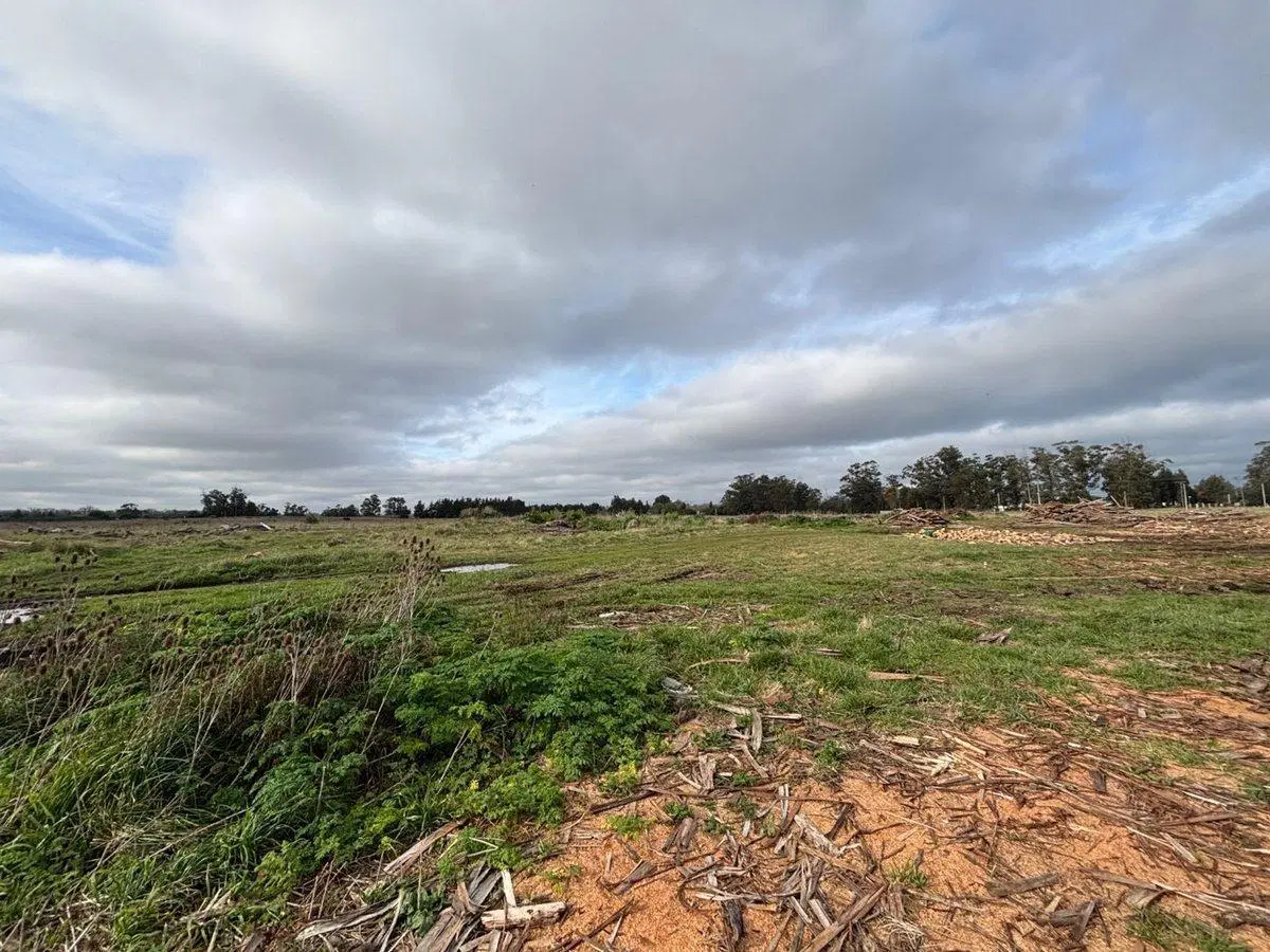 TERRENO EN VENTA DE 2695M2 ZONA PARQUE, NECOCHEA 5