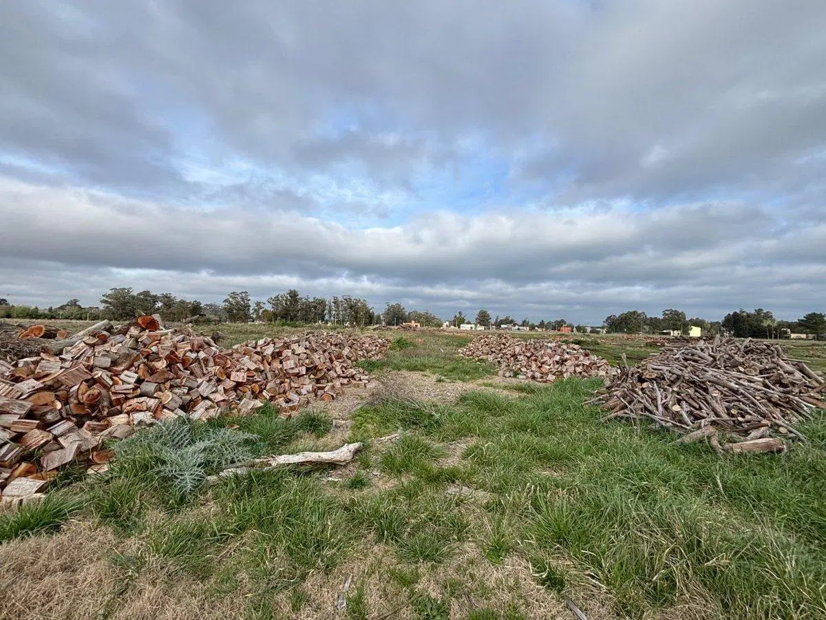 TERRENO EN VENTA DE 2695M2 ZONA PARQUE, NECOCHEA 5