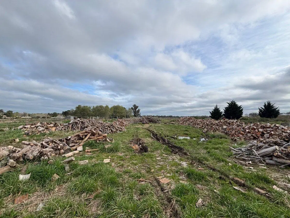 TERRENO EN VENTA DE 2695M2 ZONA PARQUE, NECOCHEA 4