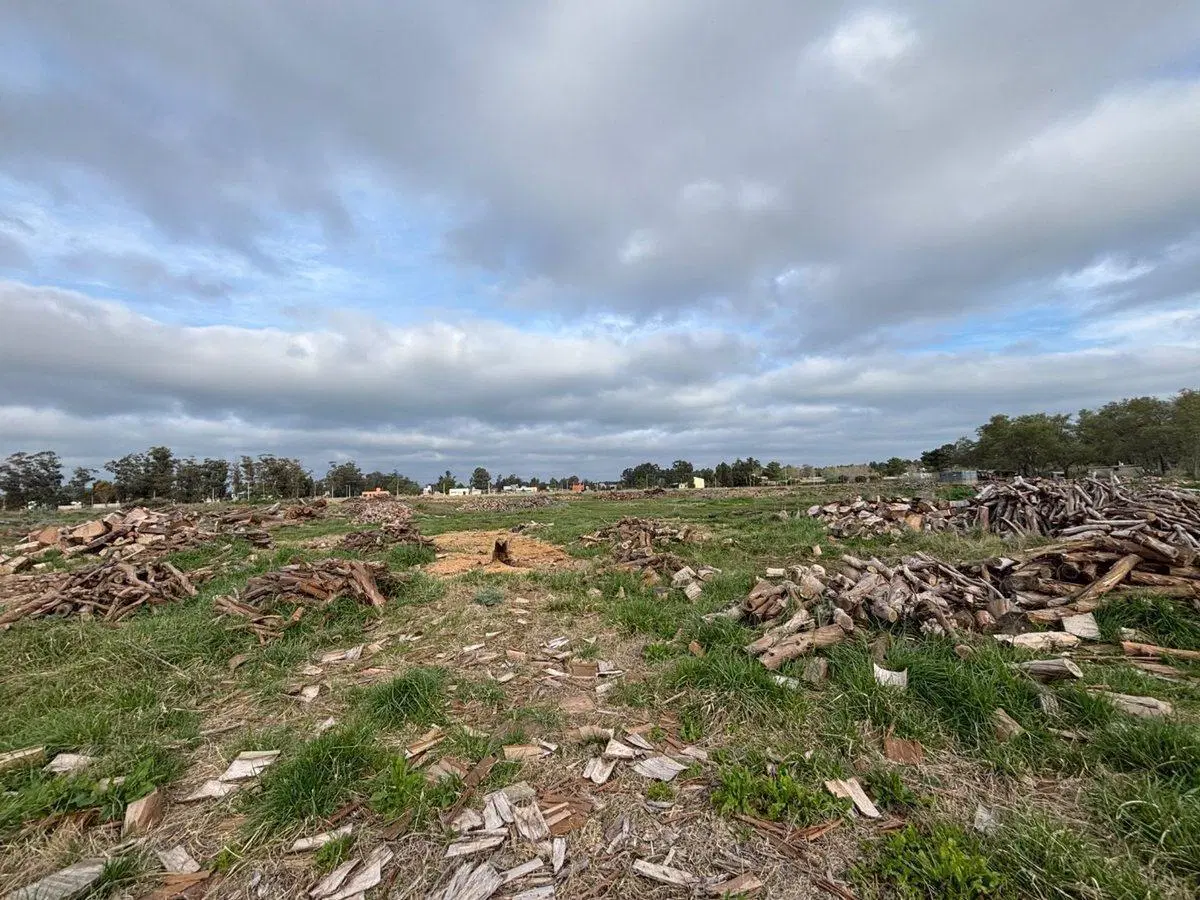 TERRENO EN VENTA DE 2625M2 ZONA PARQUE, NECOCHEA 2