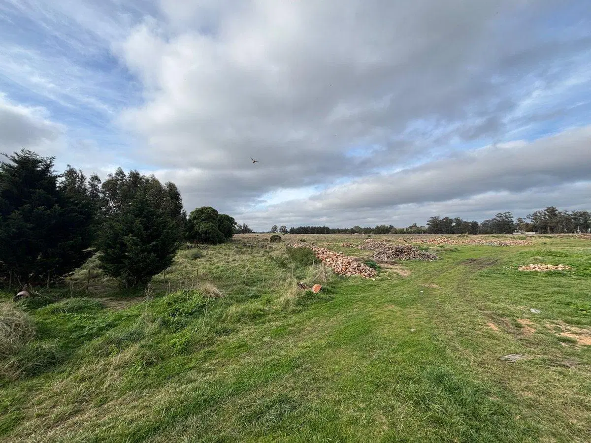 TERRENO EN VENTA DE 2625M2 ZONA PARQUE, NECOCHEA 5