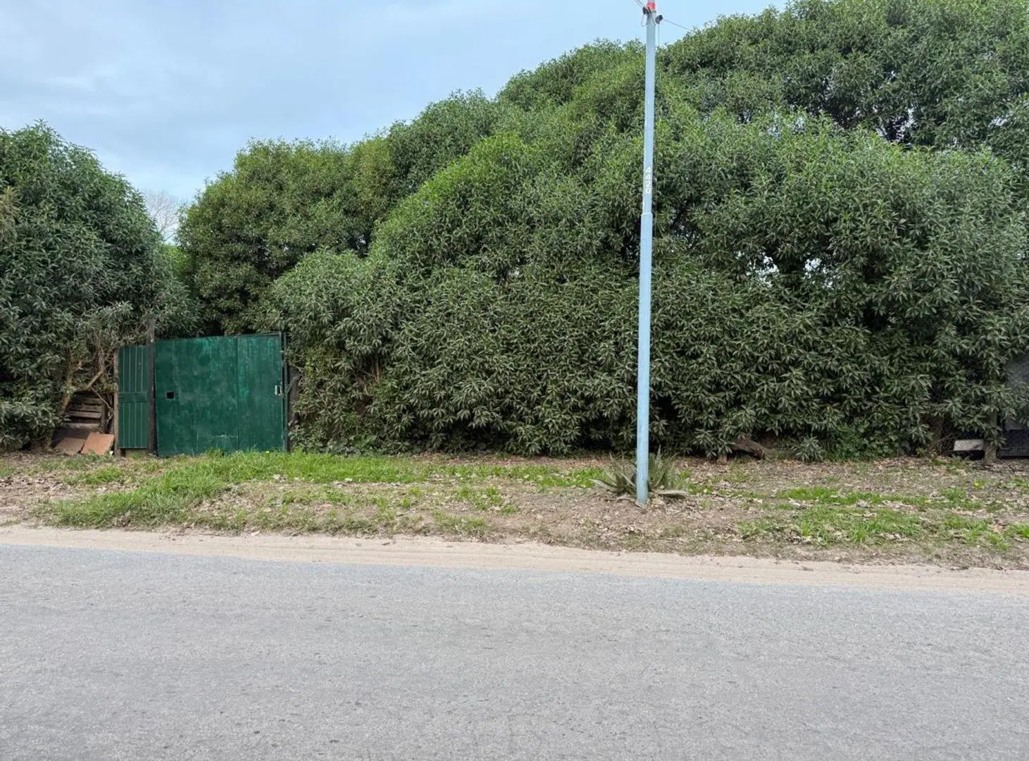 Monoambiente en Planta Baja  en Alfar 3