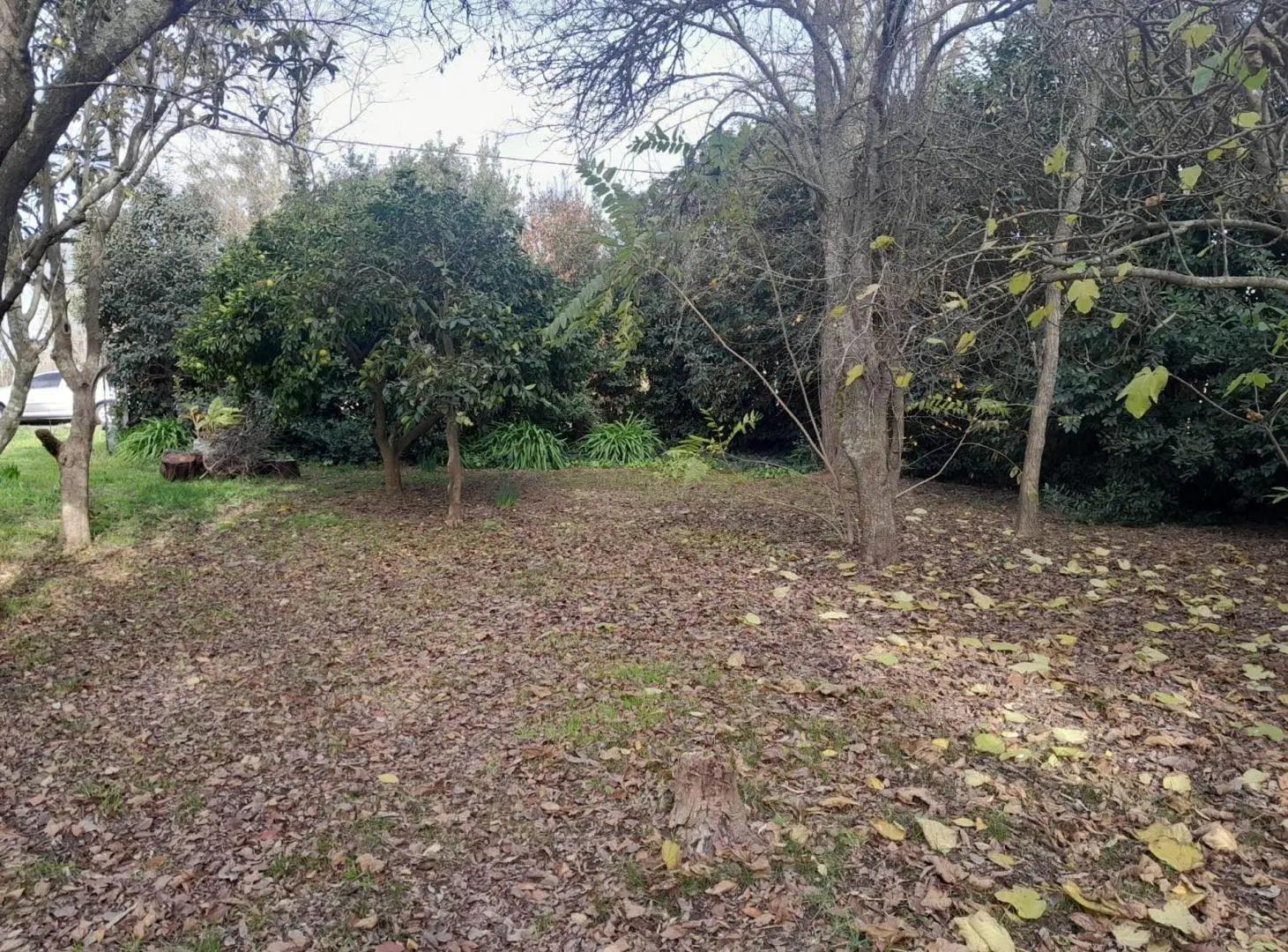 2 LOTES EN BLOK EN VENTA EN LOS PINOS, BALCARCE 4