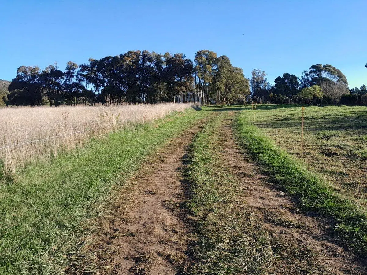 LOTE DE 1300 MTS EN SIERRA LA BARROSA, BALCARCE 5