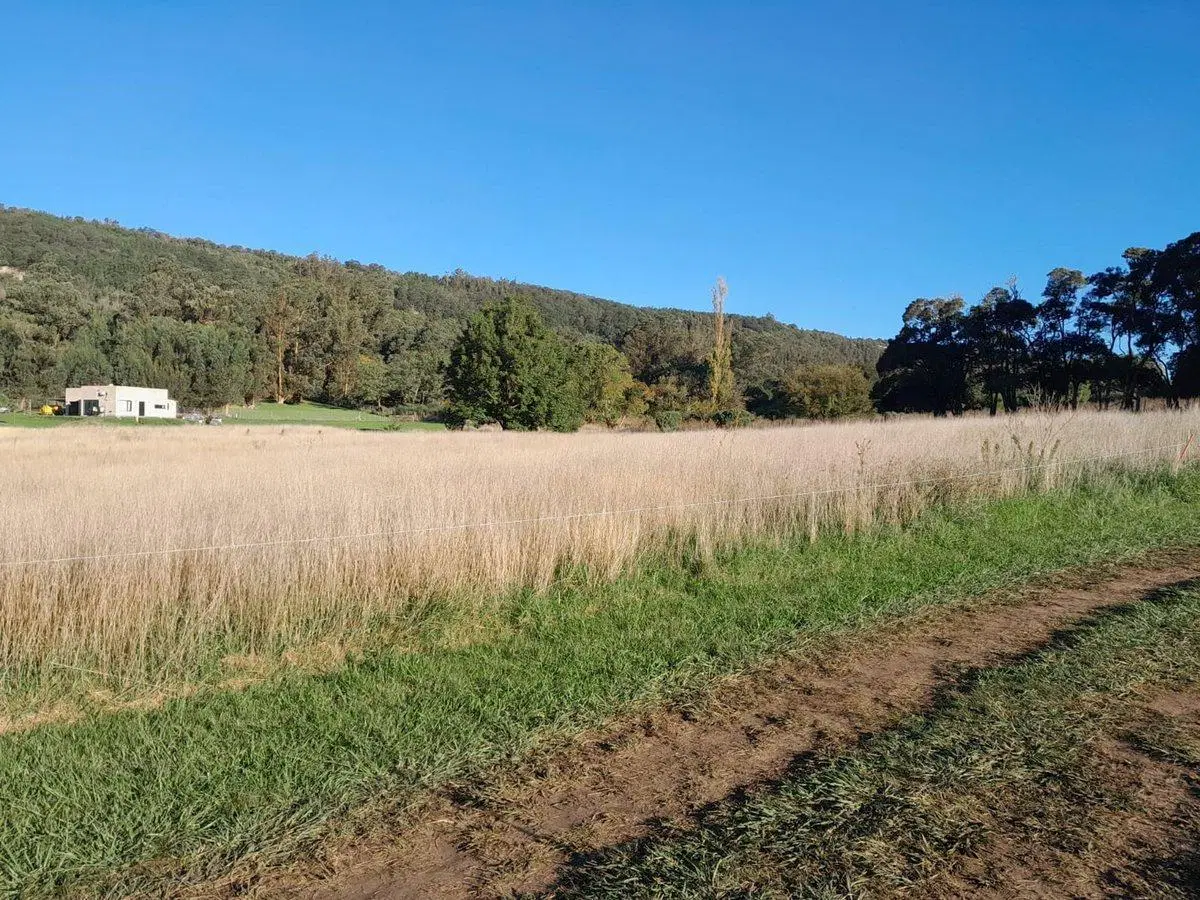 LOTE DE 1300 MTS EN SIERRA LA BARROSA, BALCARCE 3