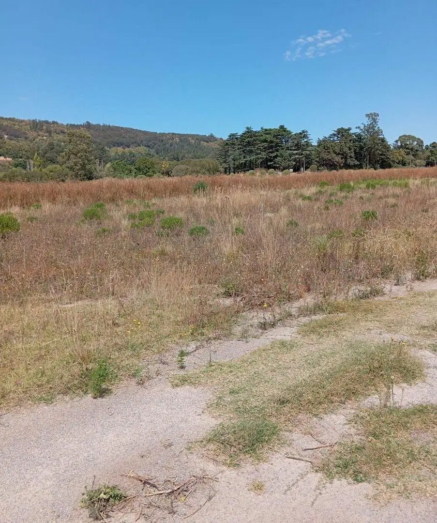 LOTE DE 1000 MTS EN BARRIO BELLA VISTA, BALCARCE 2