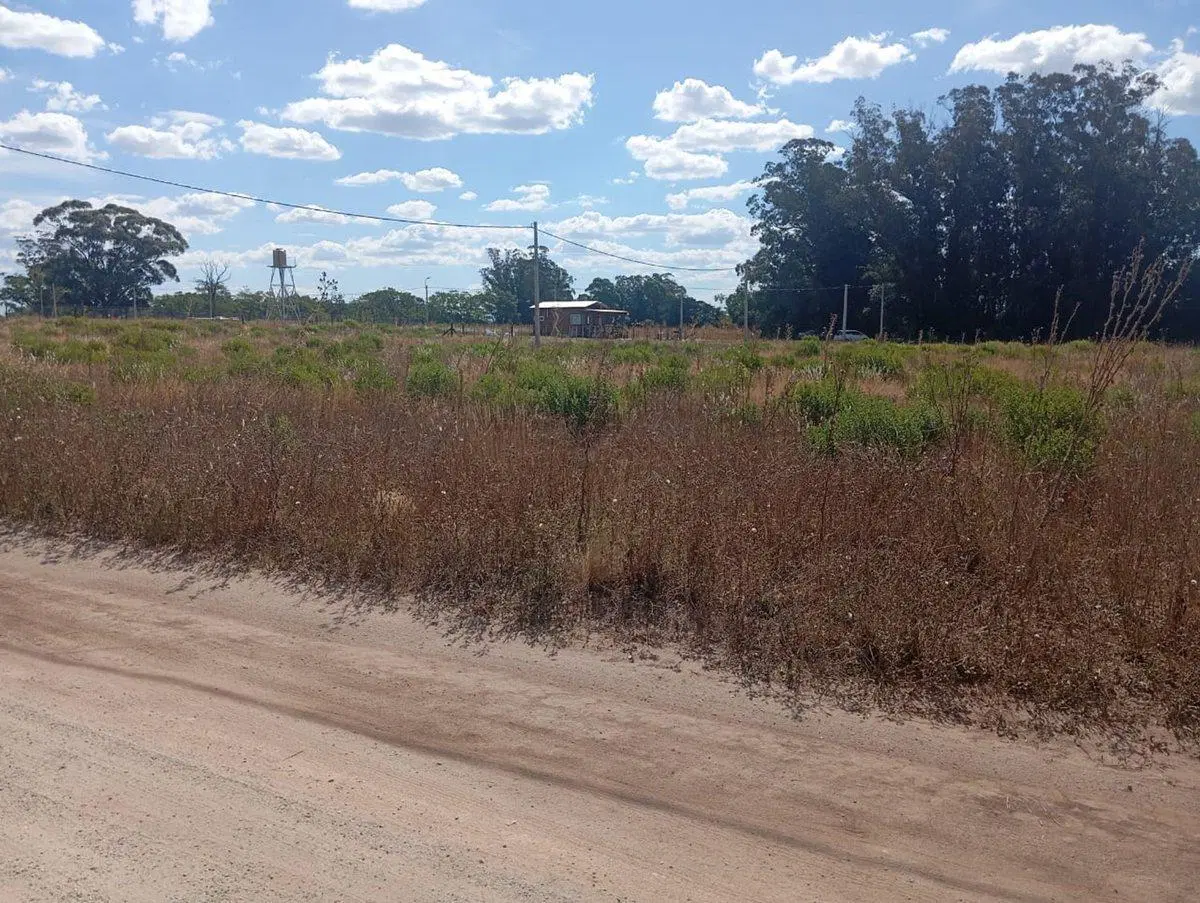 LOTE DE 1000 MTS EN BARRIO BELLA VISTA, BALCARCE 4