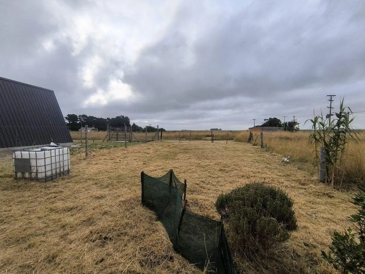Venta casa en lote de 398mts2 Los Ángeles Necochea 5