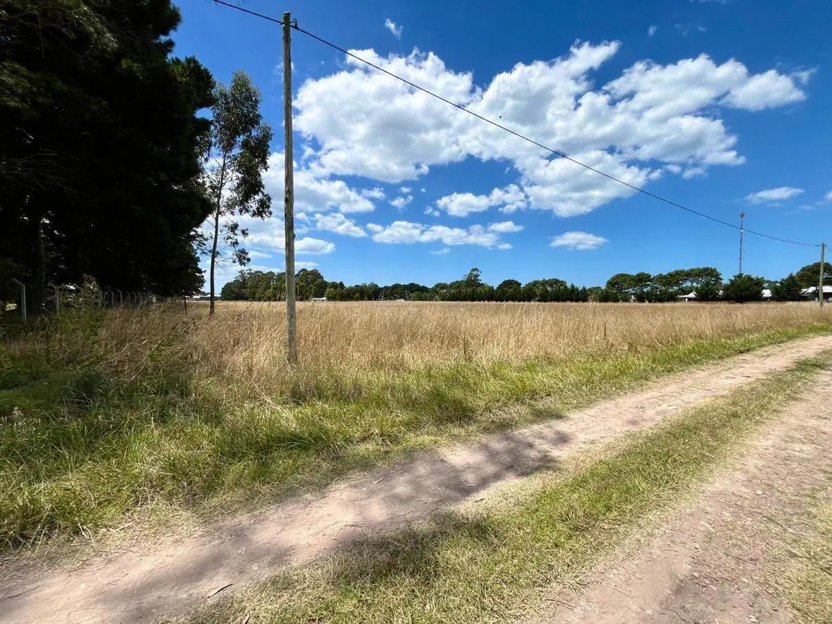 1,5 Ha EN VENTA EN SANTA CLARA A METROS DE RUTA 11 2