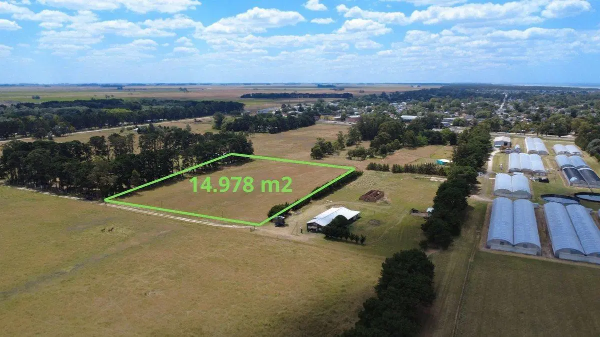 1,5 Ha EN VENTA EN SANTA CLARA A METROS DE RUTA 11 5