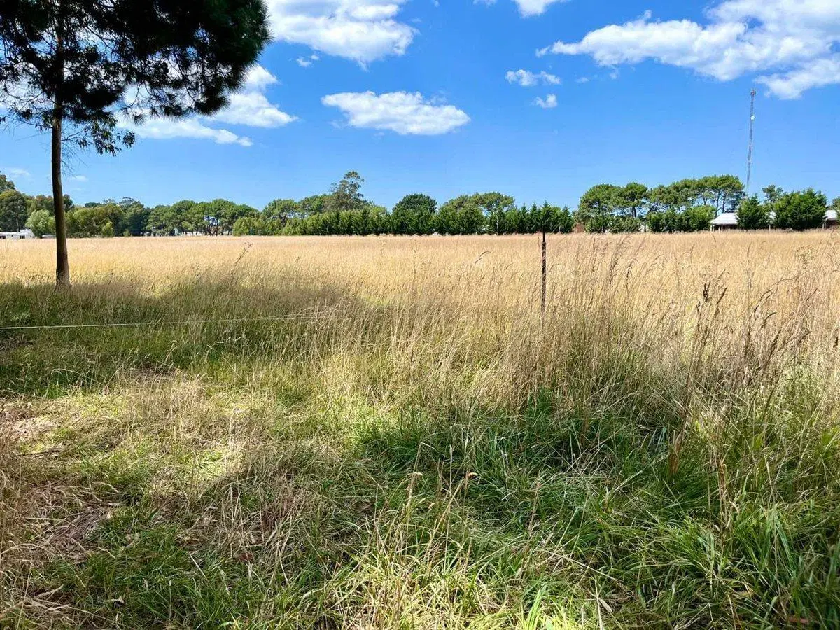 1,5 Ha EN VENTA EN SANTA CLARA A METROS DE RUTA 11 3