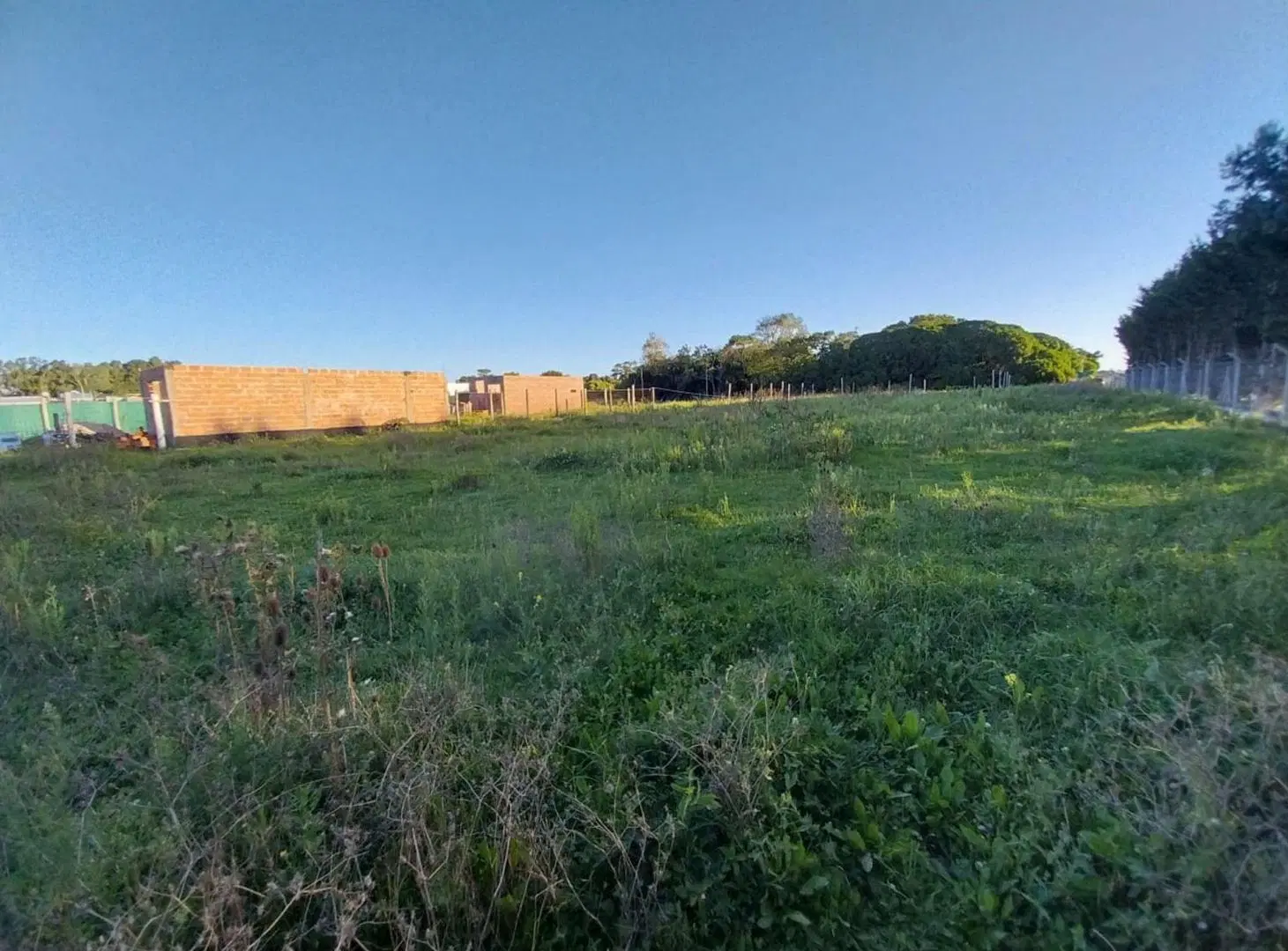 Lote Playa San Carlos 8