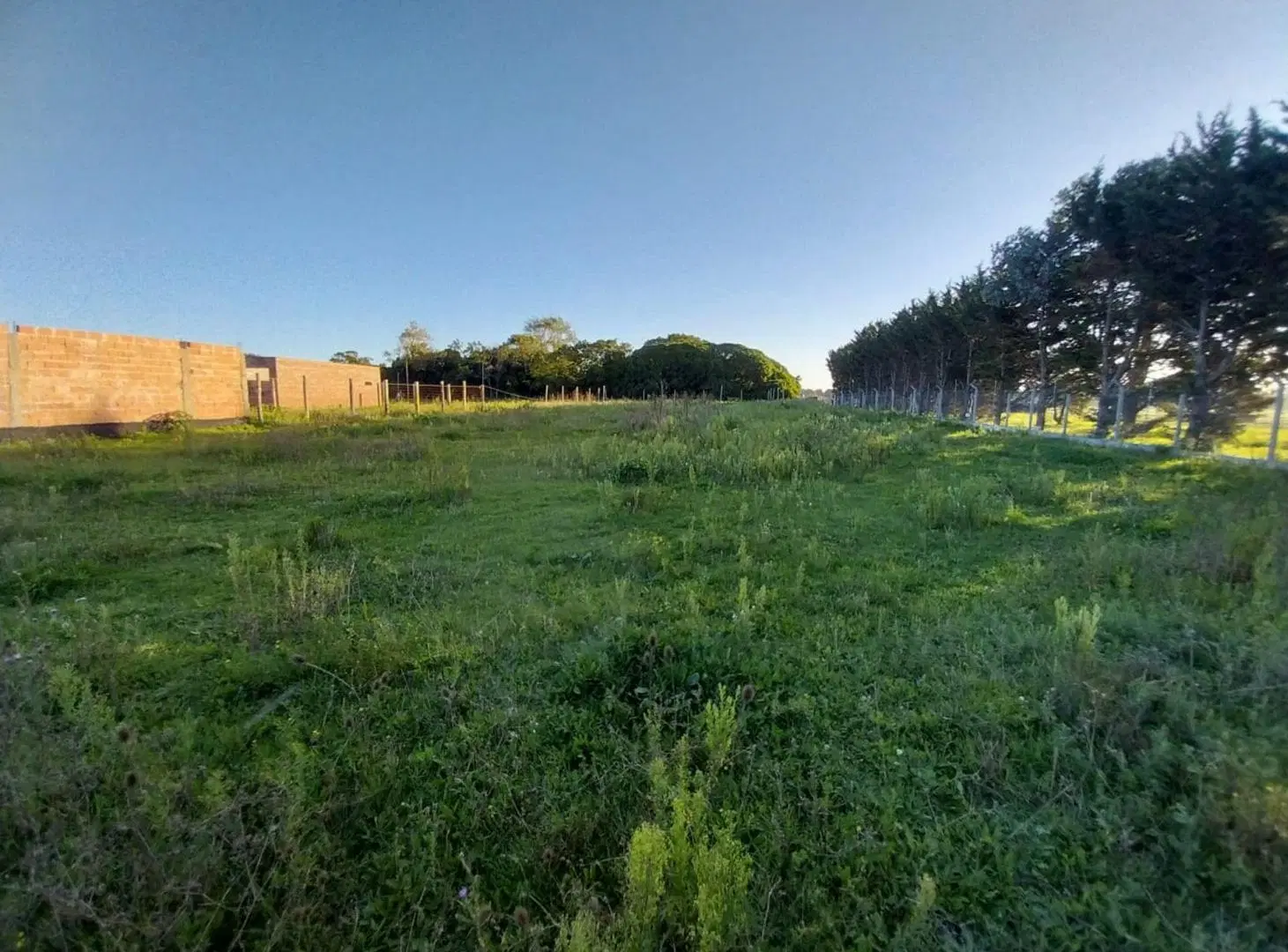 Lote Playa San Carlos 2