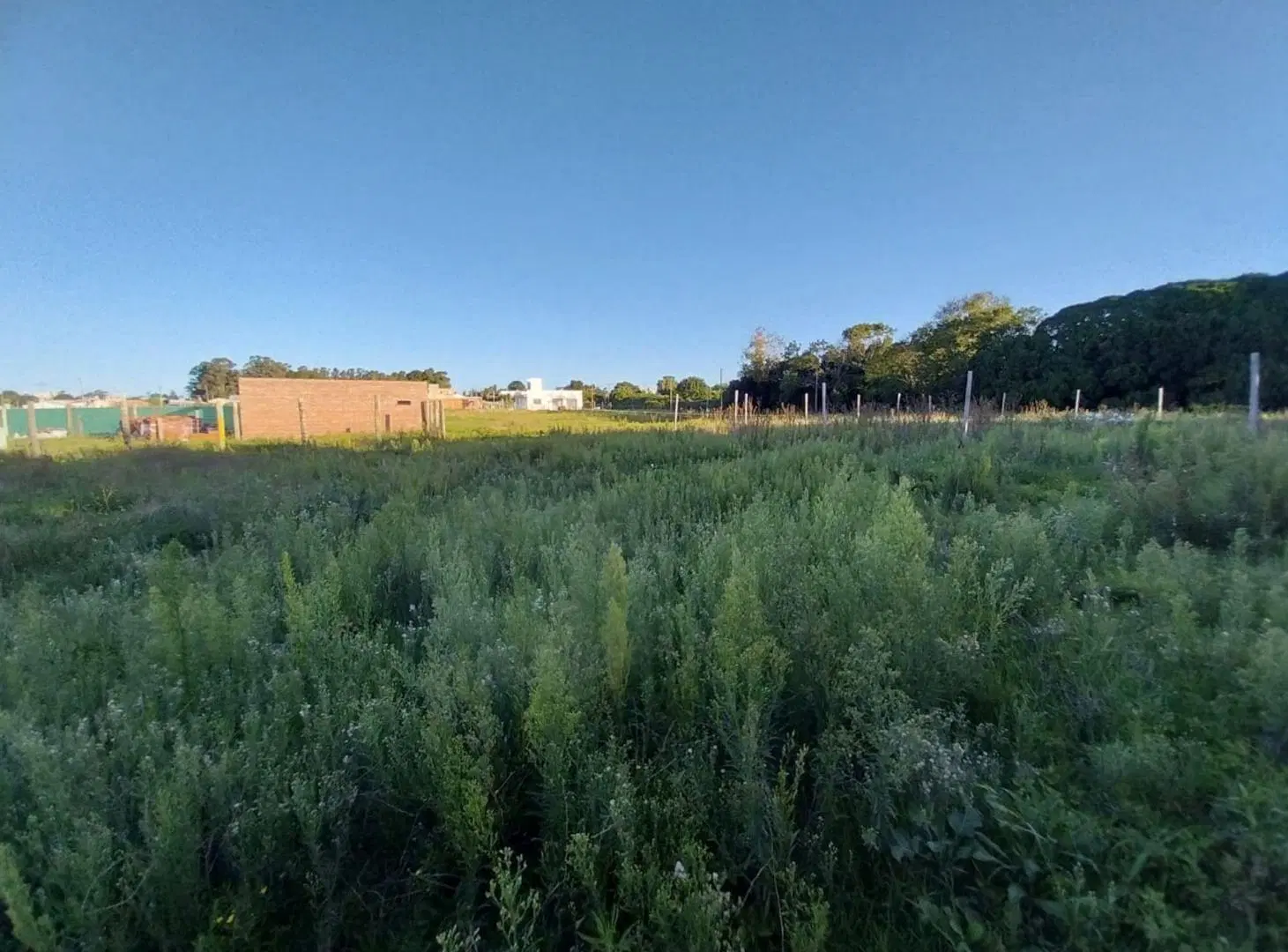 Lote Playa San Carlos 5
