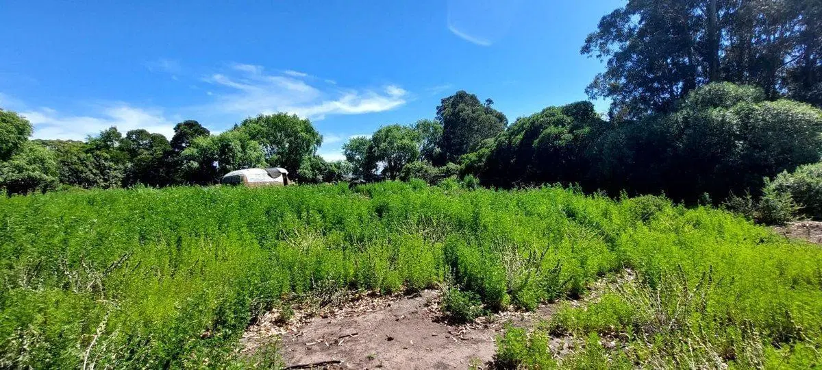 VENTA LOTE PLAYA DORADA 4