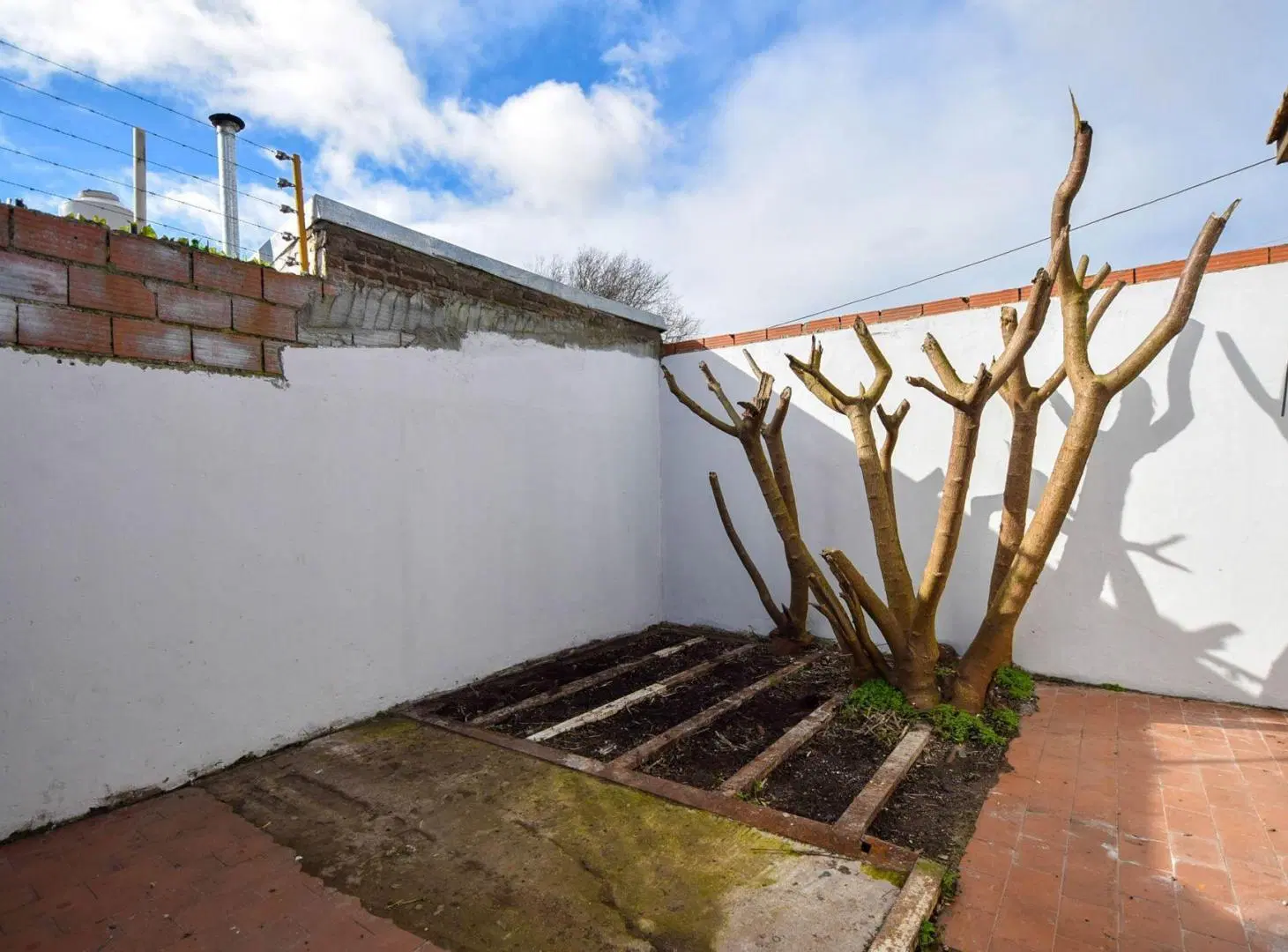 VENTA PH DOS AMBIENTES CON PATIO 4