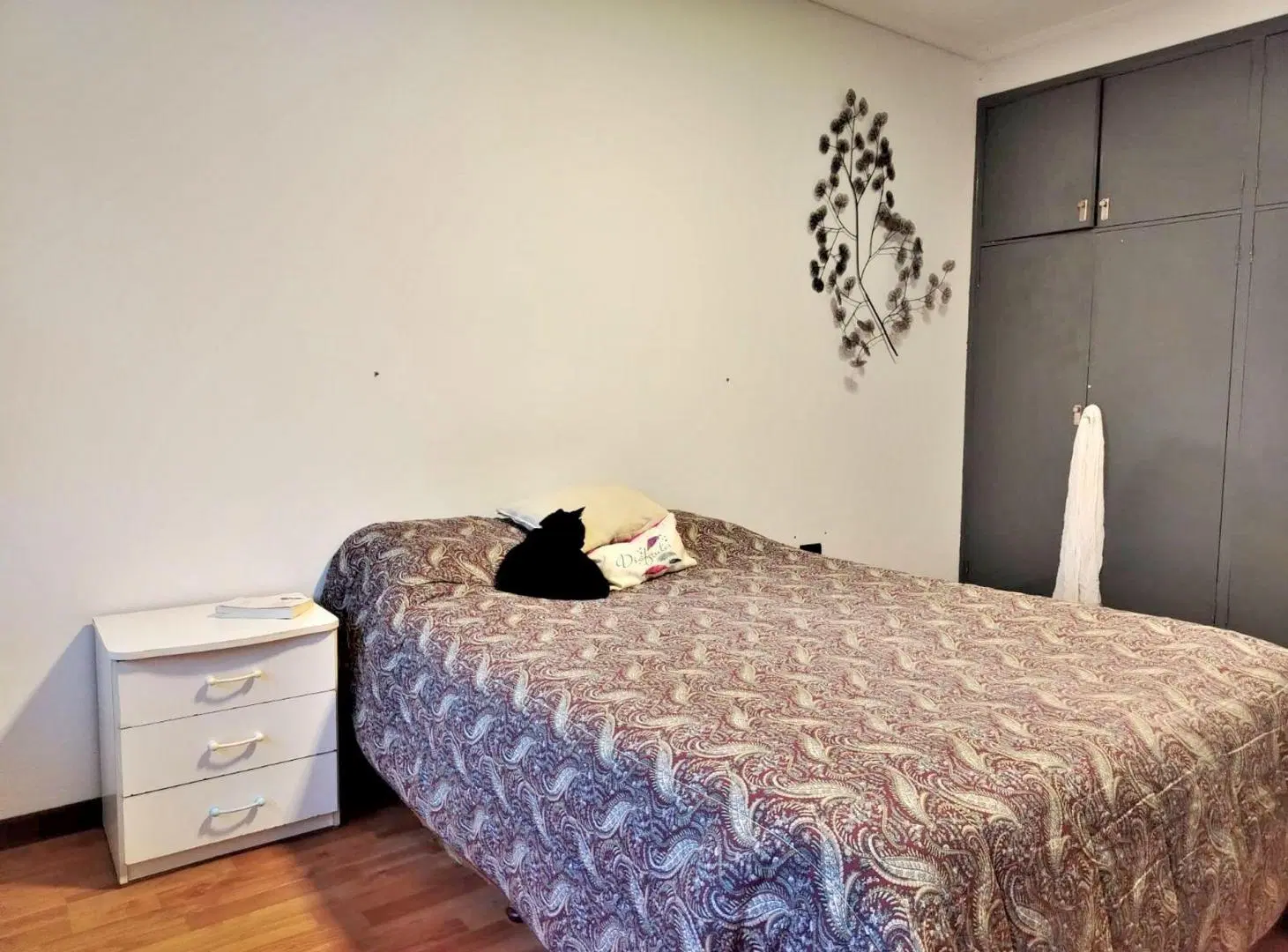 Venta casa 5 ambientes cochera patio Constitucion 5