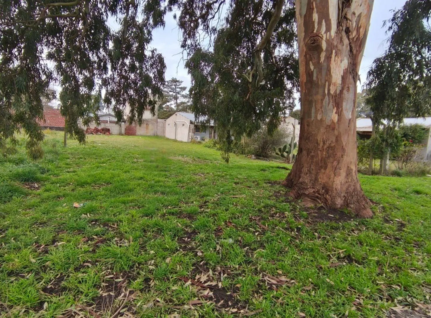 VENTA Lote 420 m² a 5 cuadras del mar, F. CAMET 5