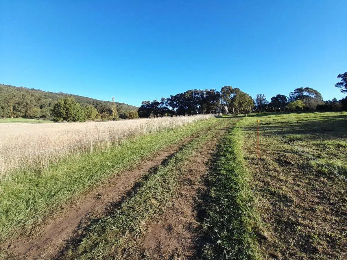 LOTE DE 1300 MTS EN SIERRA LA BARROSA, BALCARCE 5