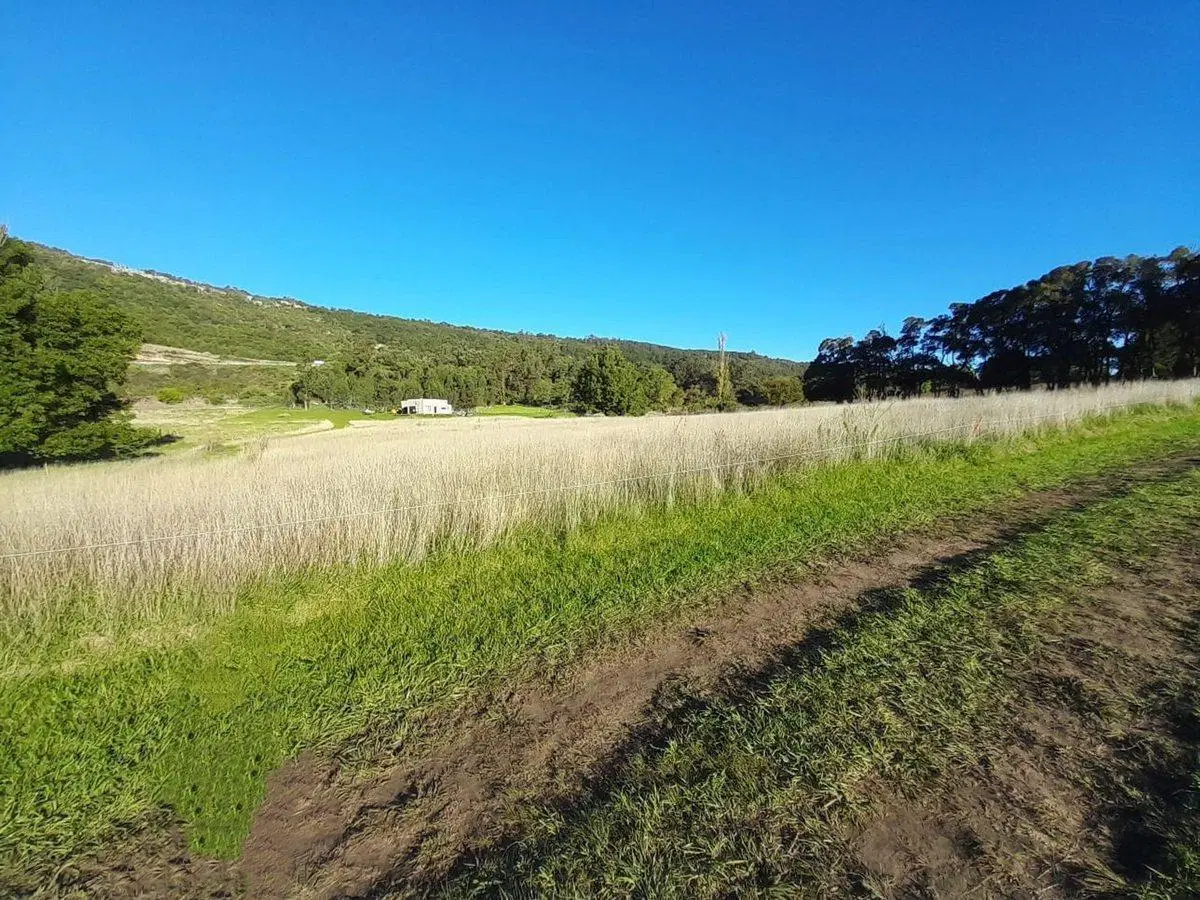 LOTE DE 1300 MTS EN SIERRA LA BARROSA, BALCARCE 3