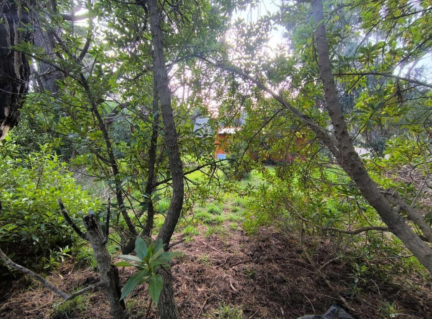 Foto de Venta Lote 295 mts2 Villa del Deportista Necochea, imagen 4